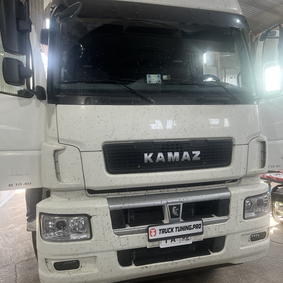 ФАЙЛ ПРОШИВКИ SCR OFF KAMAZ 5490 OM457LA.V/3-06, 24 C, A 083 447 44 40 ZGS 001, E2SGS041S078 2